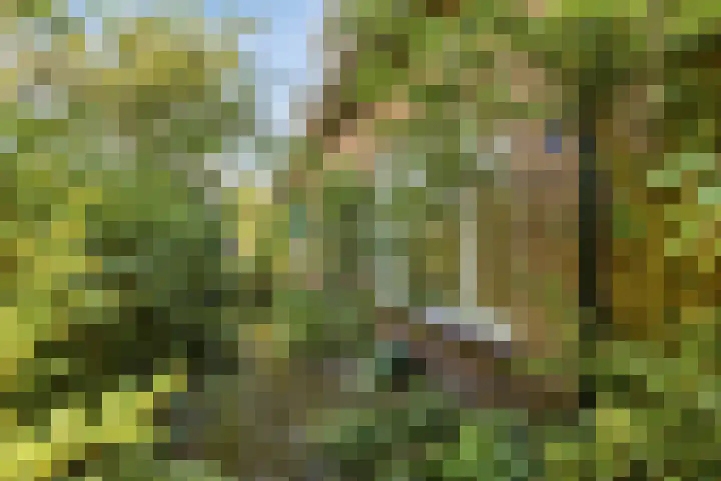 Duinkampen 9 Paterswolde thumbnail 11