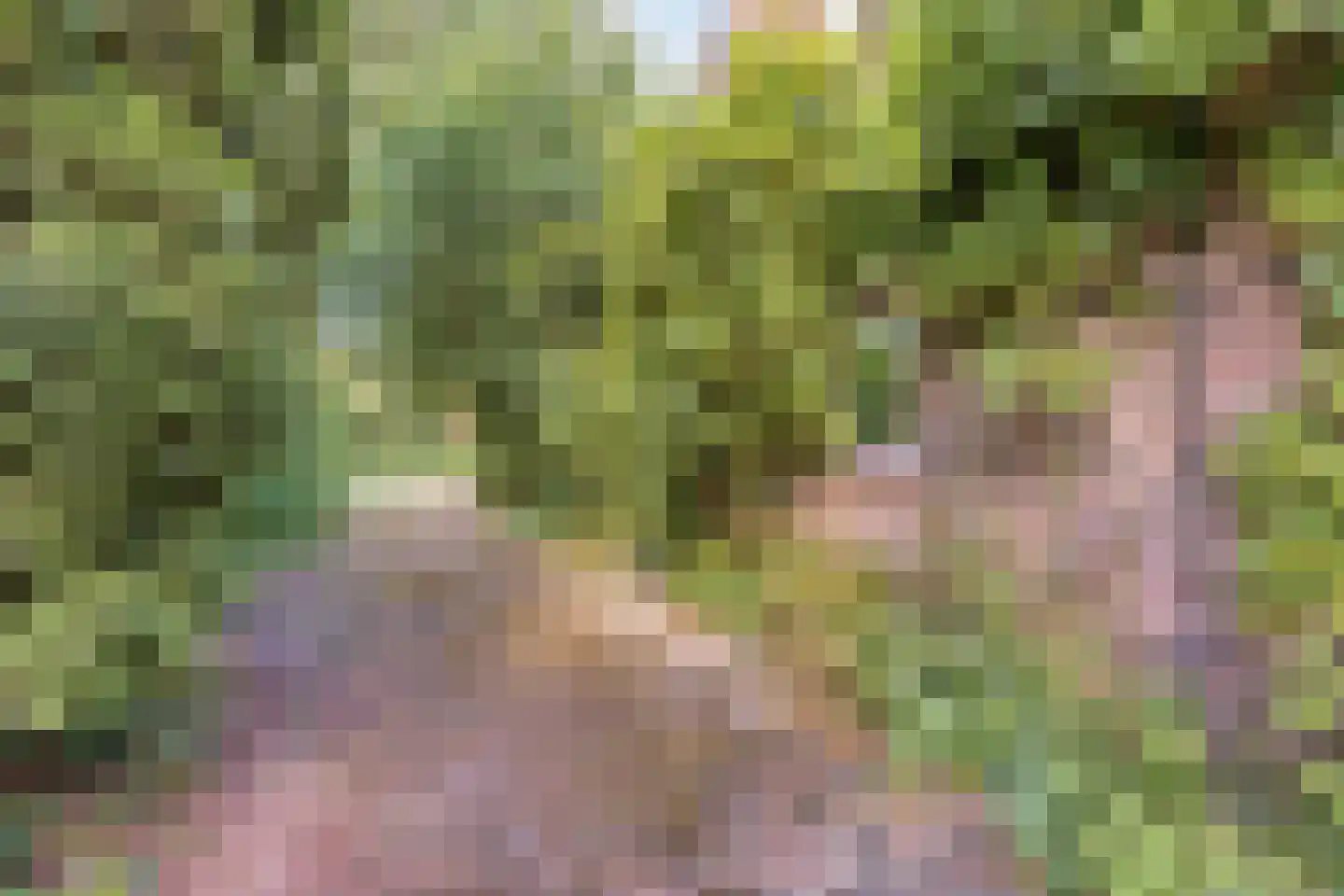 Duinkampen 9 Paterswolde thumbnail 12