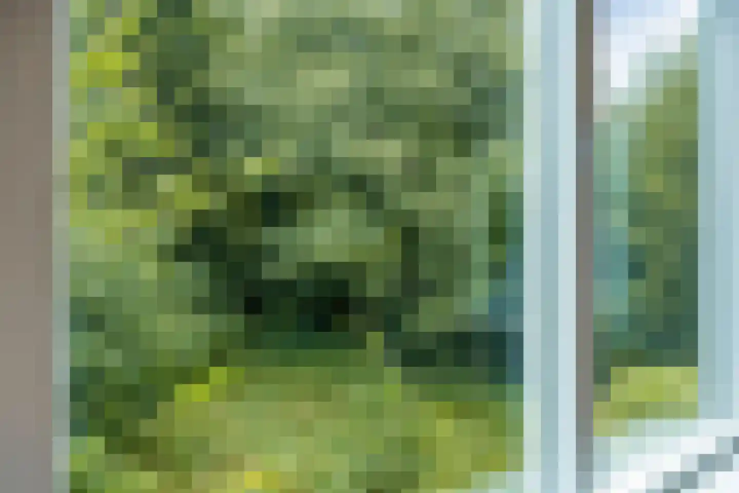 Duinkampen 9 Paterswolde thumbnail 29