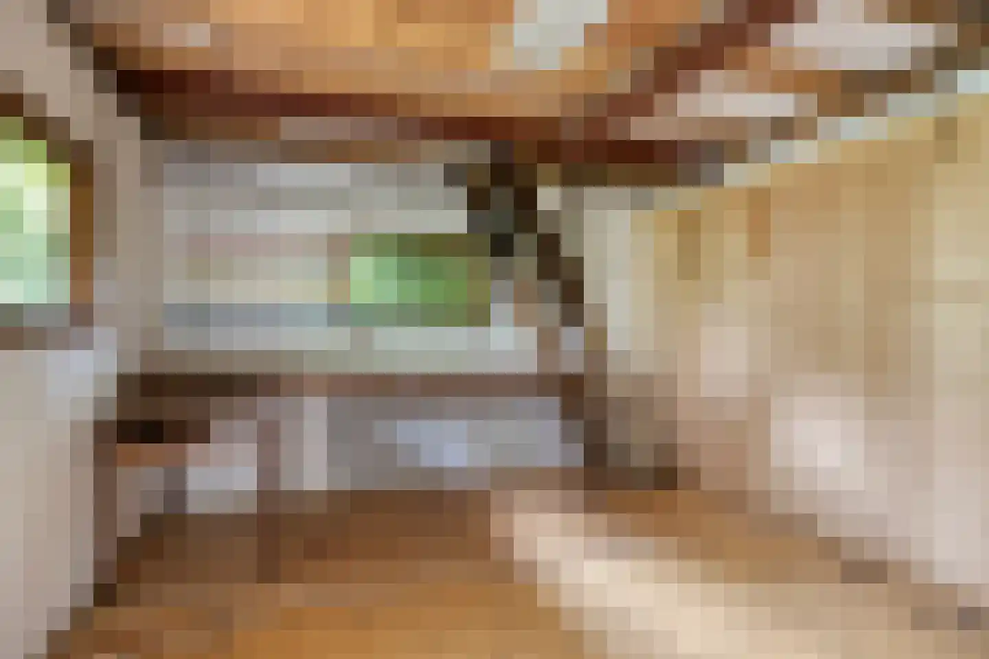 Duinkampen 9 Paterswolde thumbnail 45