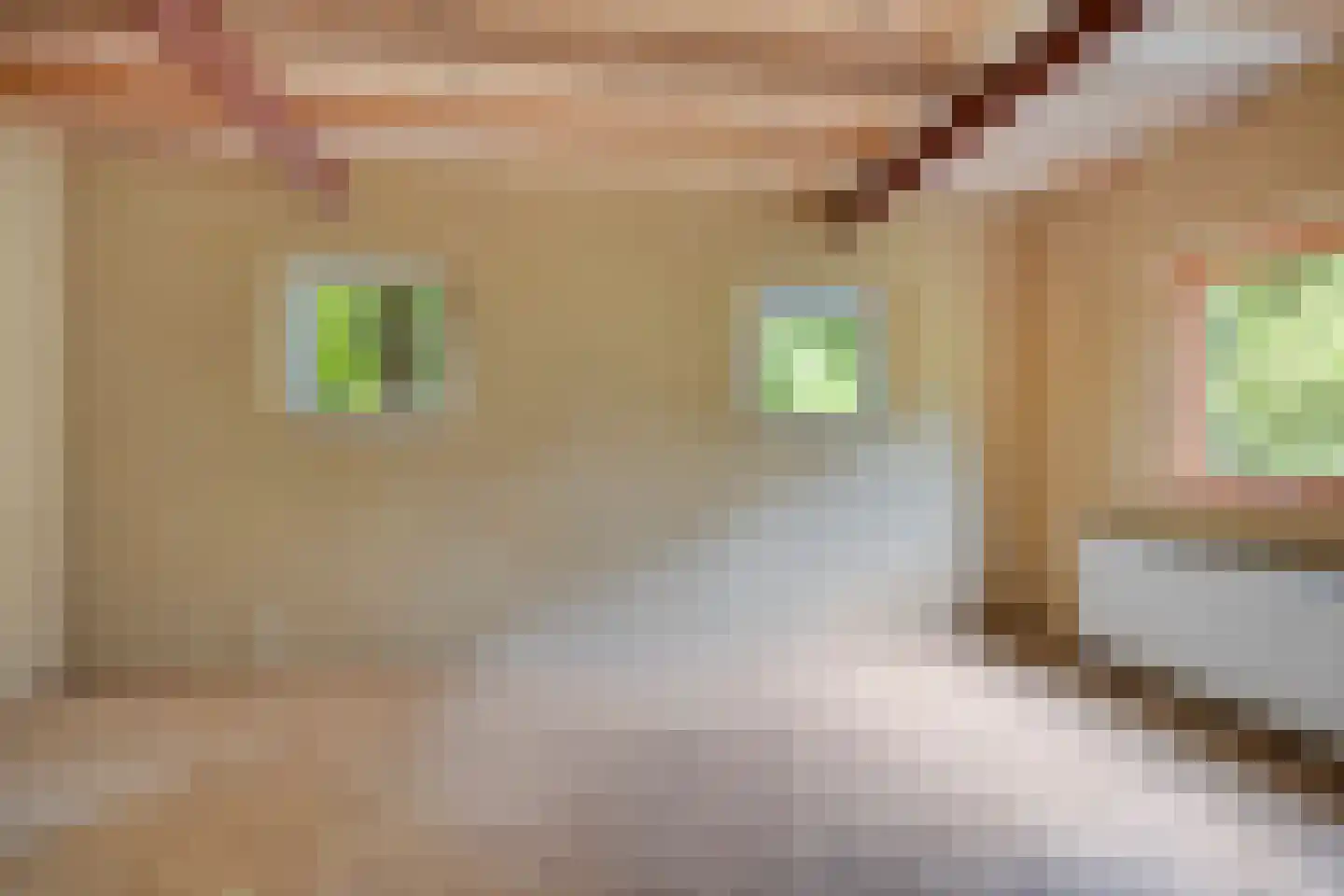 Duinkampen 9 Paterswolde thumbnail 46