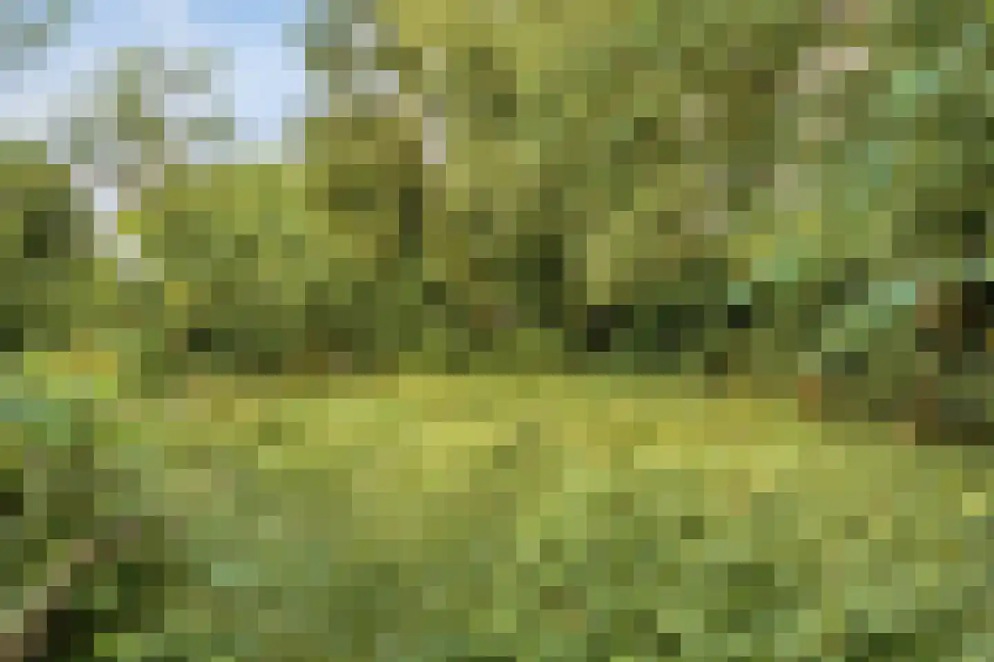 Duinkampen 9 Paterswolde thumbnail 47