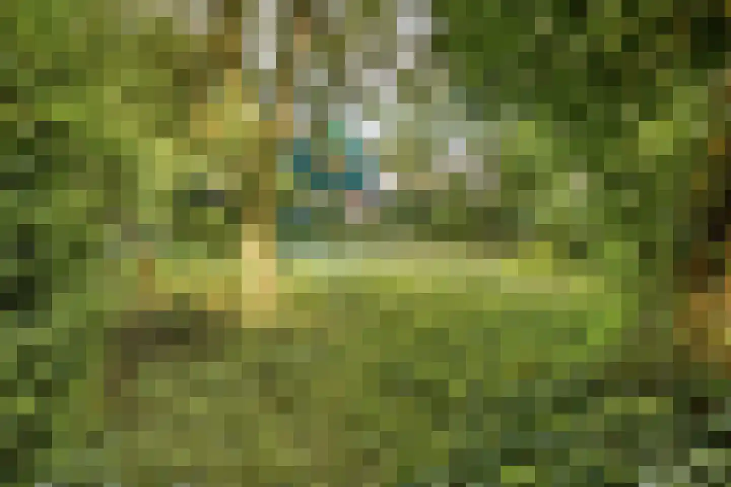 Duinkampen 9 Paterswolde thumbnail 48