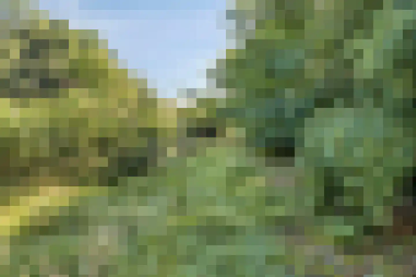 Duinkampen 9 Paterswolde thumbnail 49