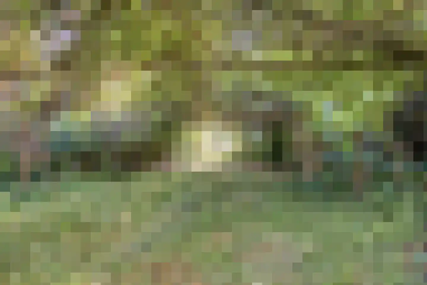Duinkampen 9 Paterswolde thumbnail 50