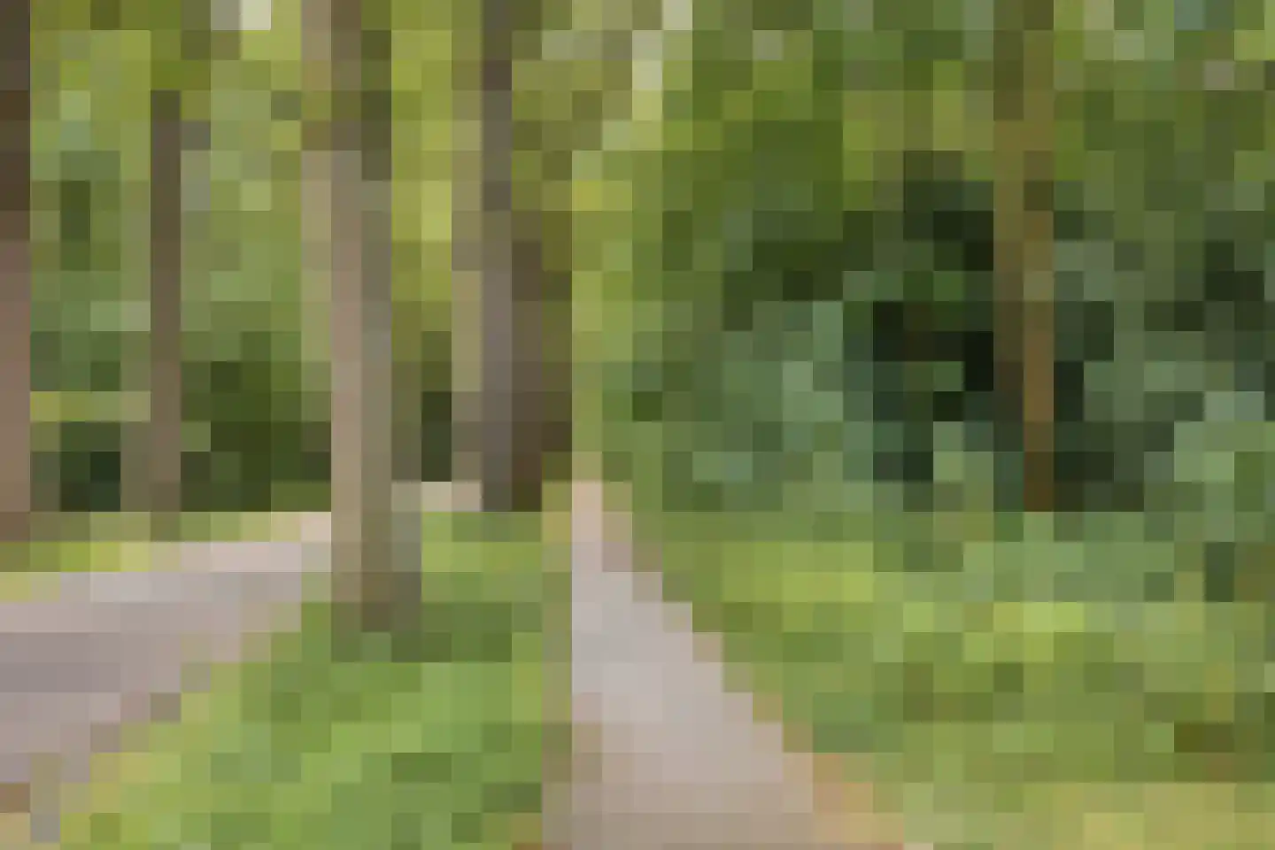 Duinkampen 9 Paterswolde thumbnail 51