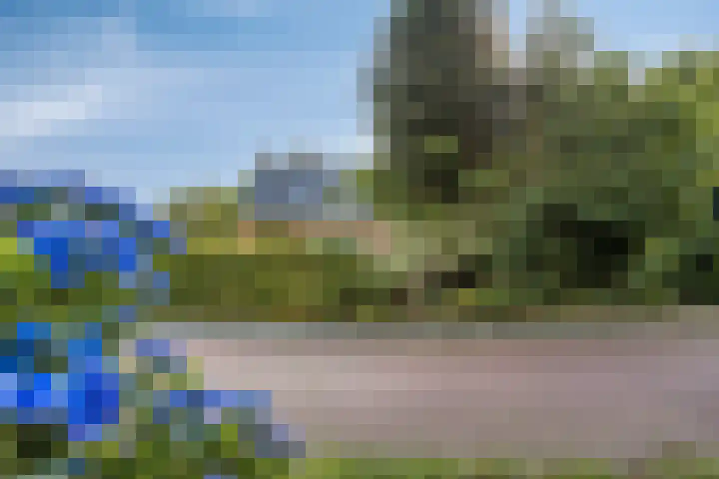 Duinkampen 9 Paterswolde thumbnail 9