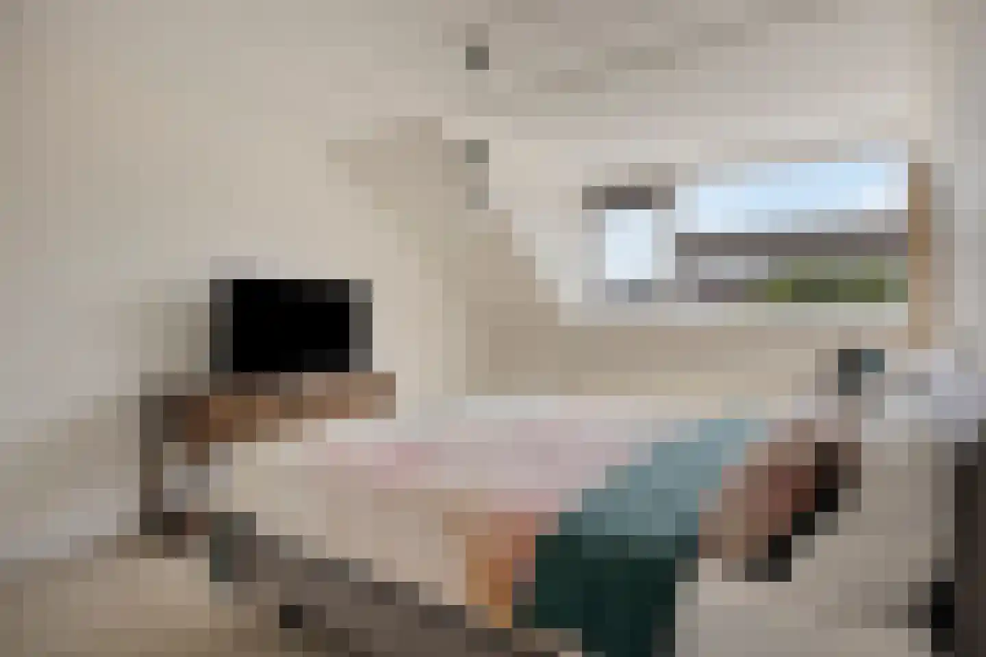 Duinkant 74 Noordwijk thumbnail 19