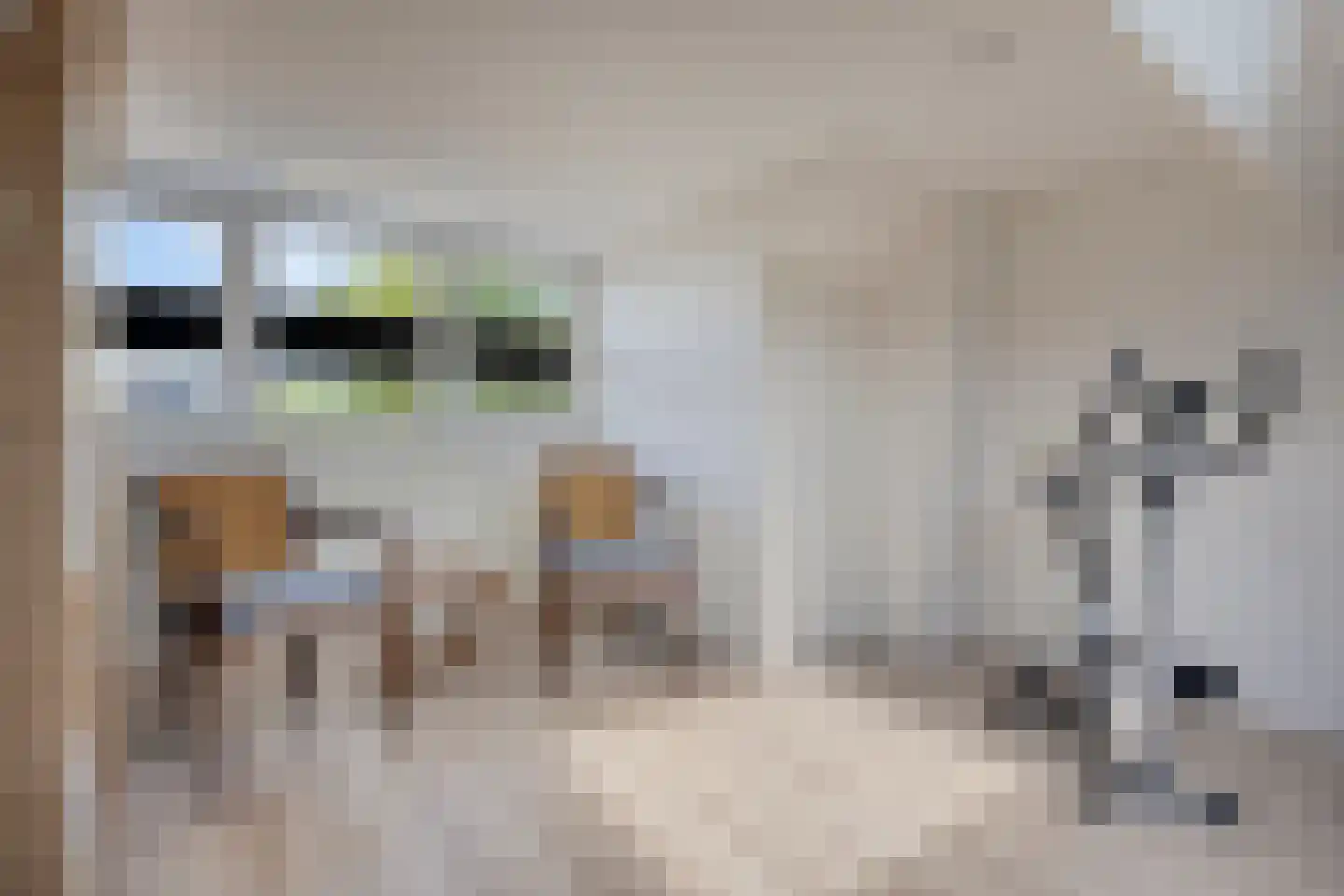 Duinkant 74 Noordwijk thumbnail 32