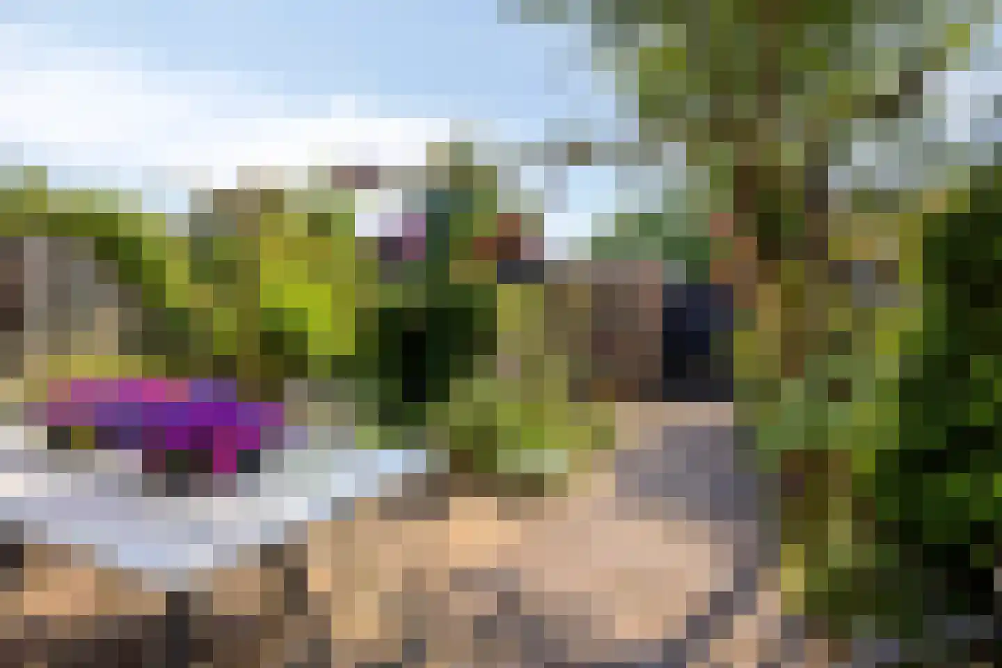 Duinkant 74 Noordwijk thumbnail 35