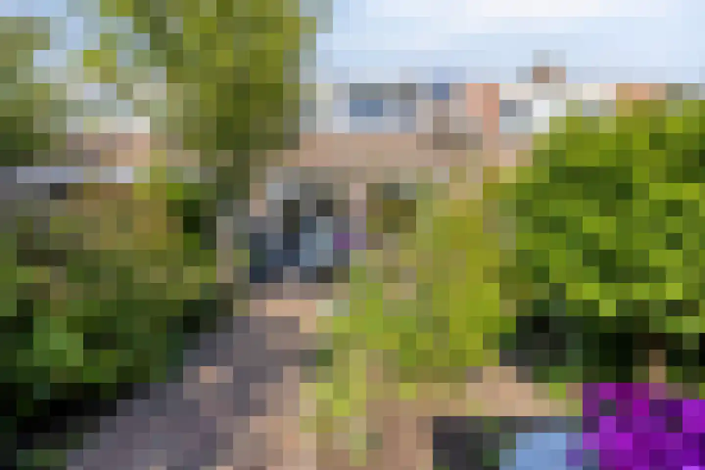 Duinkant 74 Noordwijk thumbnail 39