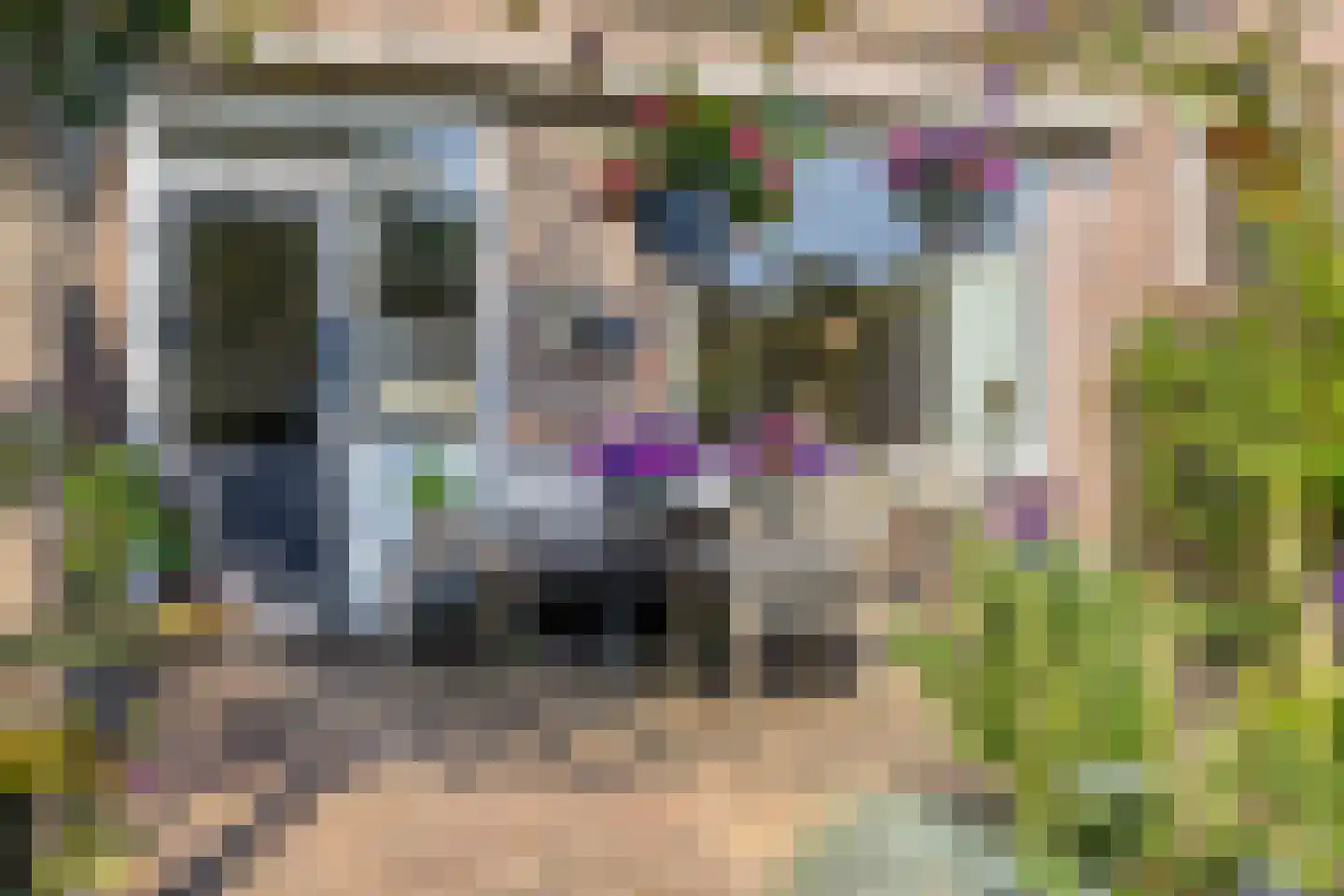 Duinkant 74 Noordwijk thumbnail 40