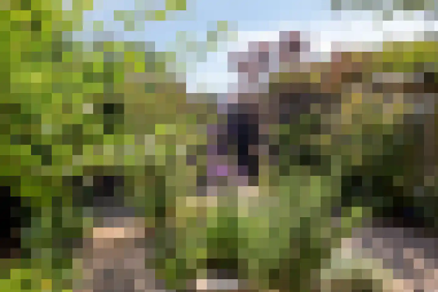 Duinkant 74 Noordwijk thumbnail 41