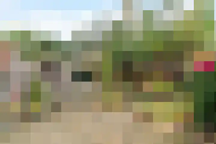 Duinkant 84 Noordwijk thumbnail 28