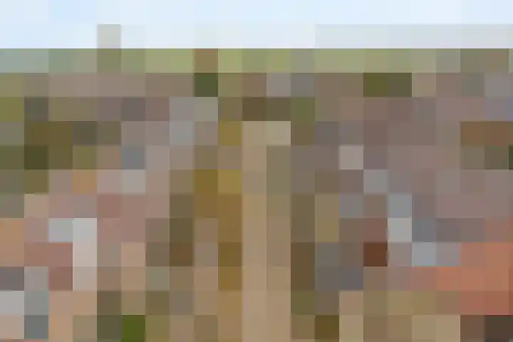 Duinkant 84 Noordwijk thumbnail 31