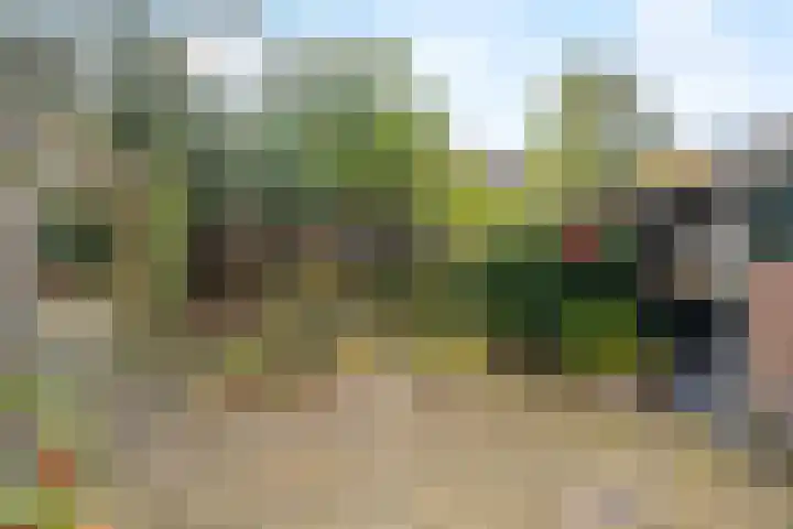 Duinkant 84 Noordwijk thumbnail 9