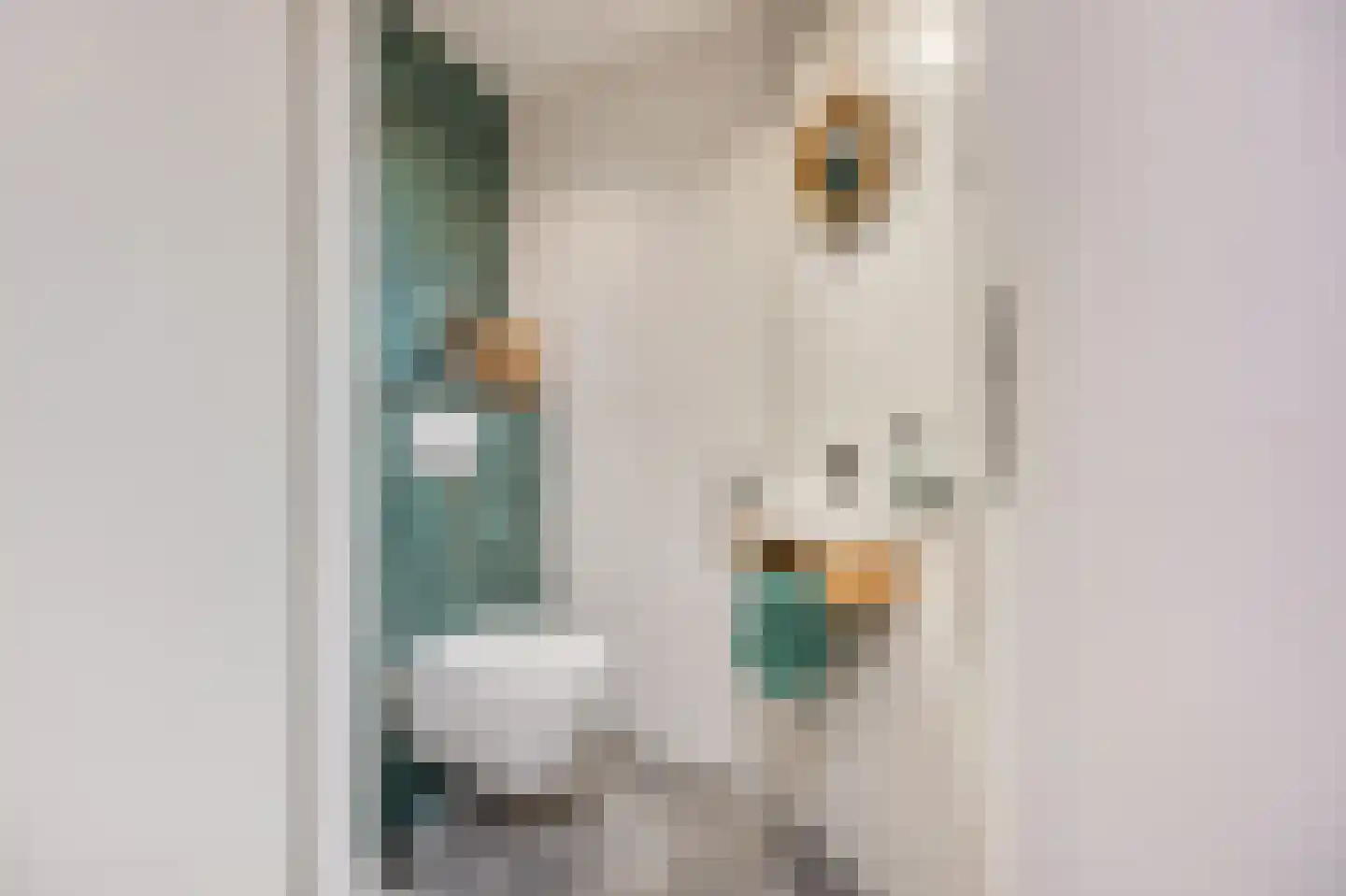Duinkerken 1 E 10 Krommenie foto 2