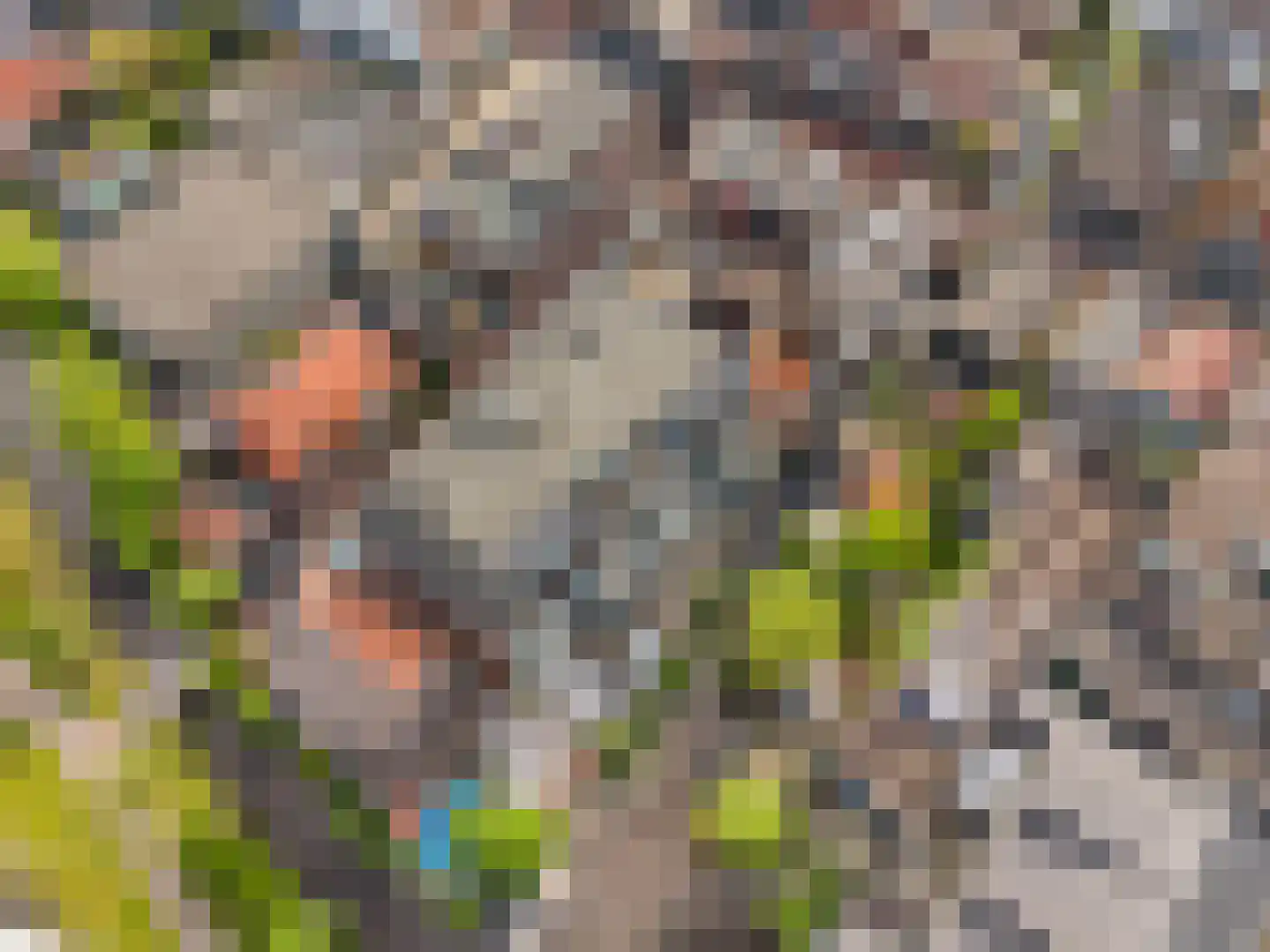 Duinkerken 1 E 10 Krommenie thumbnail 25