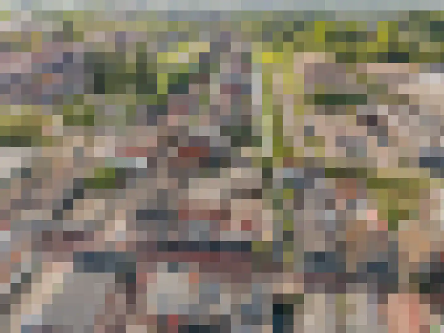 Duinkerken 1 E 10 Krommenie thumbnail 29