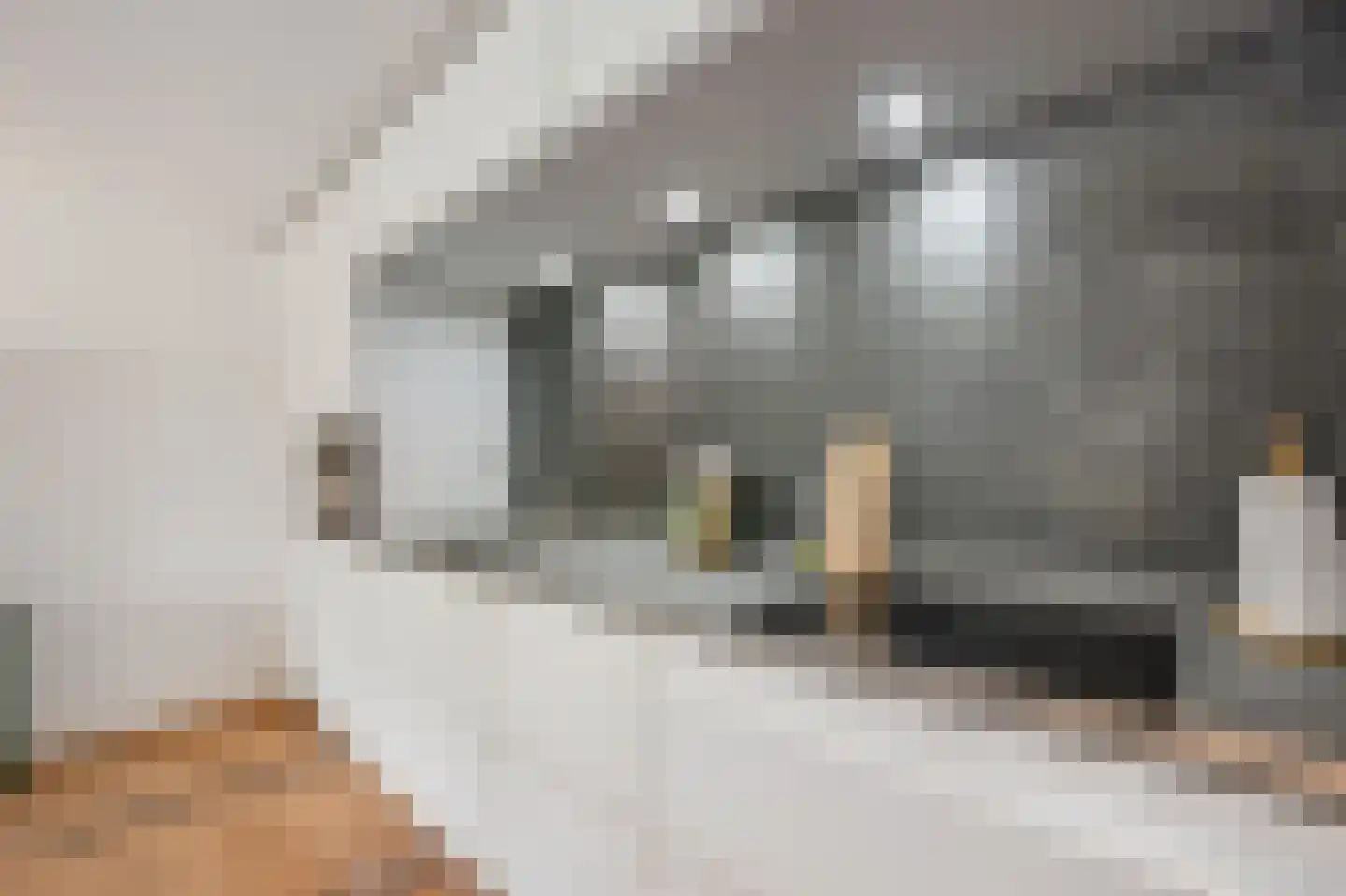 Duinkerken 1 E 10 Krommenie thumbnail 9