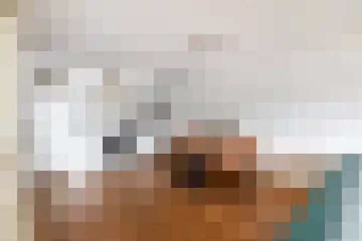 Duinkerken 1 E 4 Krommenie thumbnail 16