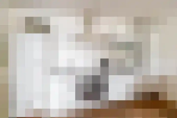 Duinkerken 1 E 4 Krommenie thumbnail 18