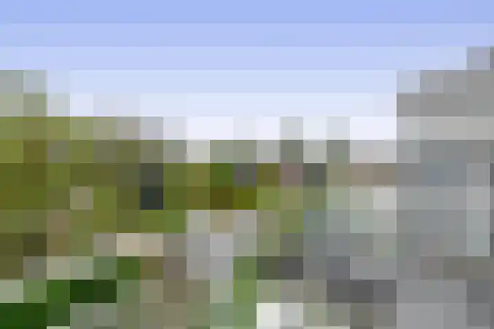 Duinkerken 1 E 4 Krommenie thumbnail 20