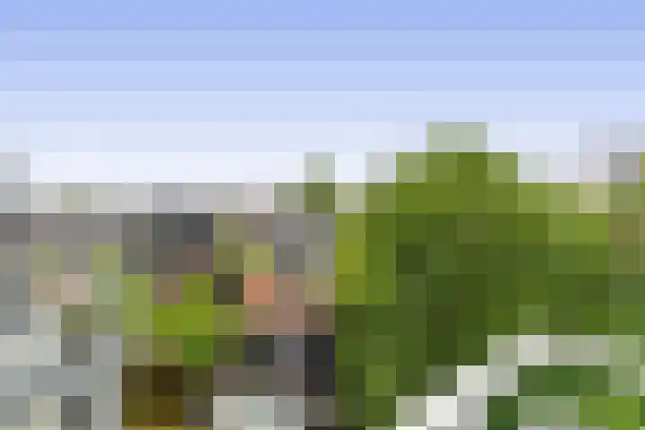 Duinkerken 1 E 4 Krommenie thumbnail 21