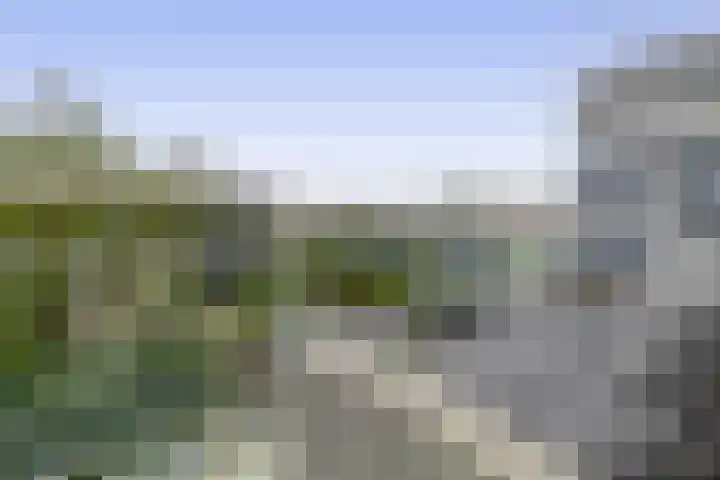 Duinkerken 1 E 4 Krommenie thumbnail 22