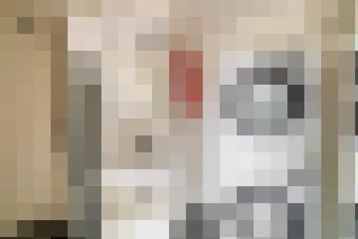 Duinkerken 1 E 4 Krommenie thumbnail 26