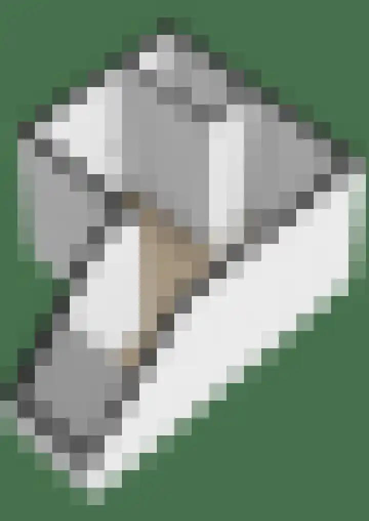 Duinkerken 1 E 4 Krommenie thumbnail 36
