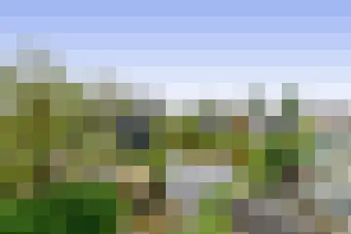 Duinkerken 1 E 4 Krommenie thumbnail 4