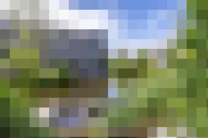 Duinkerken 1 F Krommenie thumbnail 12