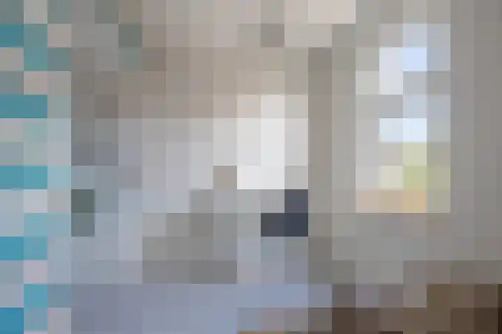 Duinkerken 1 F Krommenie thumbnail 22