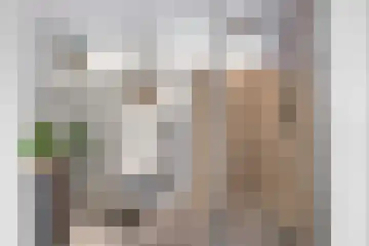 Duinkerken 1 F Krommenie thumbnail 23