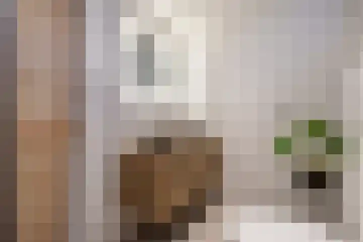 Duinkerken 1 F Krommenie thumbnail 26