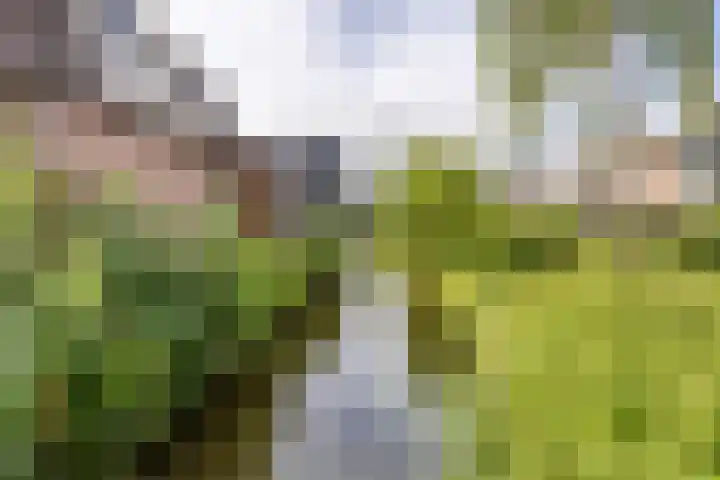 Duinkerken 1 F Krommenie thumbnail 27