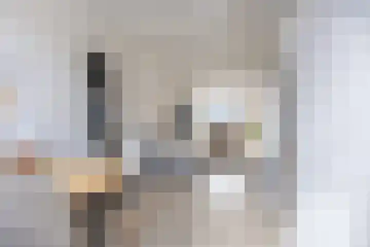Duinkerken 1 F Krommenie thumbnail 5