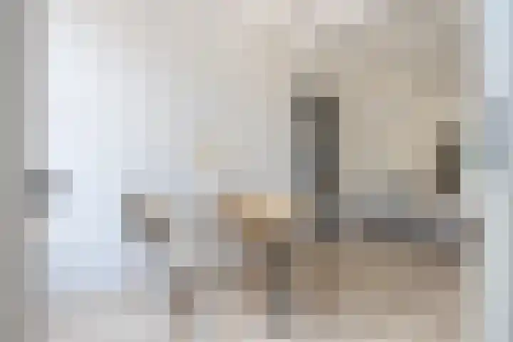Duinkerken 1 F Krommenie thumbnail 7