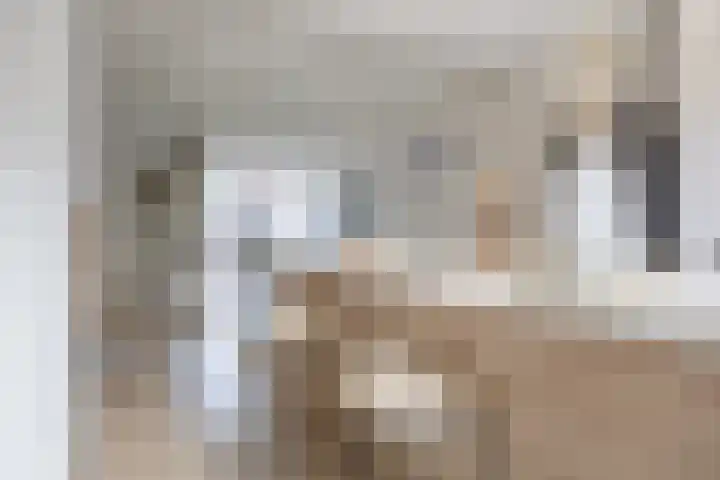 Duinkerken 1 F Krommenie thumbnail 9