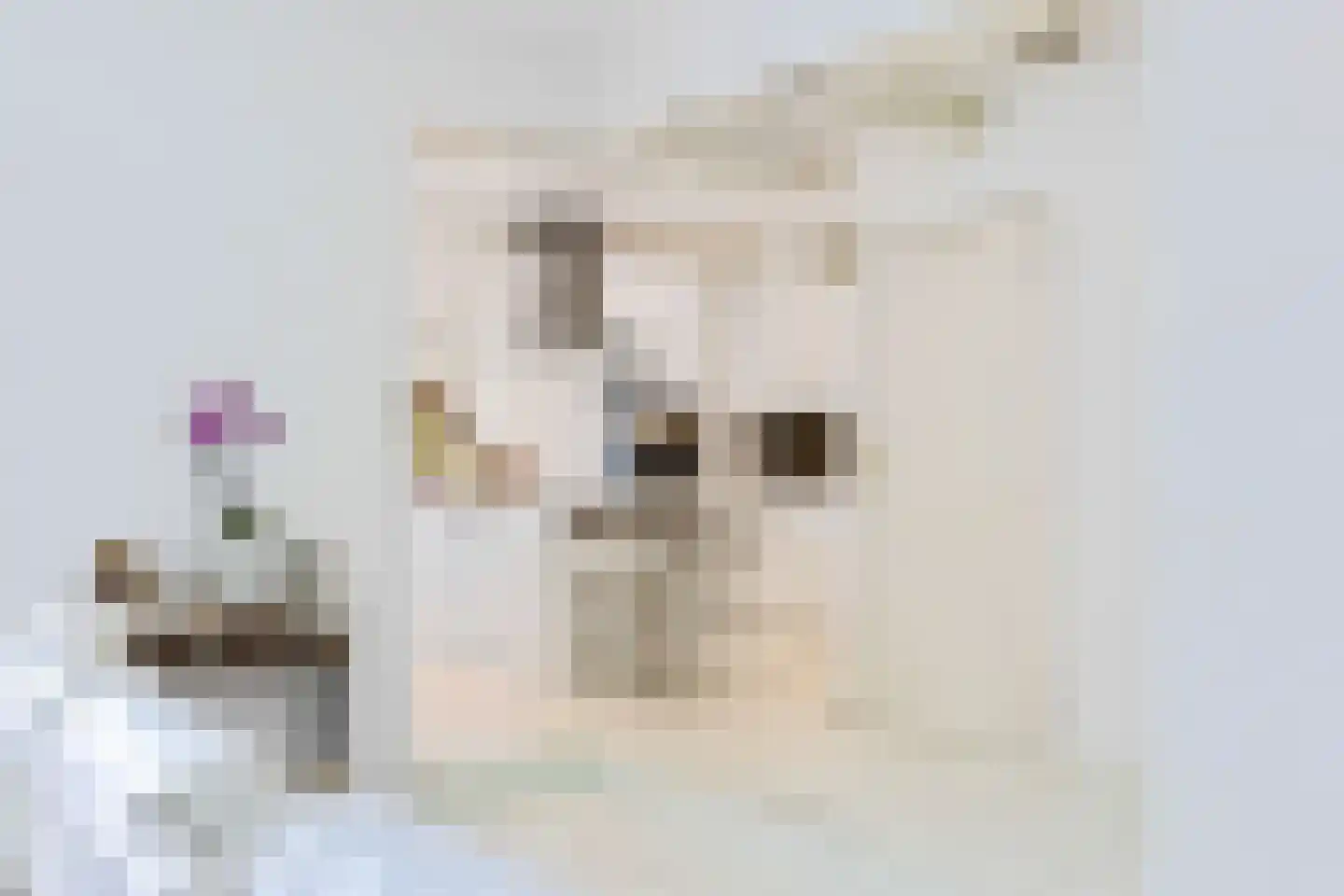 Duinkerken 2 Vreeland thumbnail 12