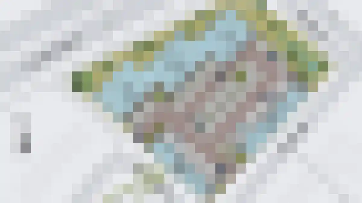 Duinkerkenlaan 49 Eindhoven foto 2