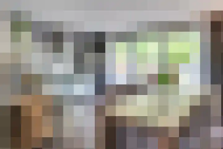 Duinkerkenlaan 49 Eindhoven thumbnail 20