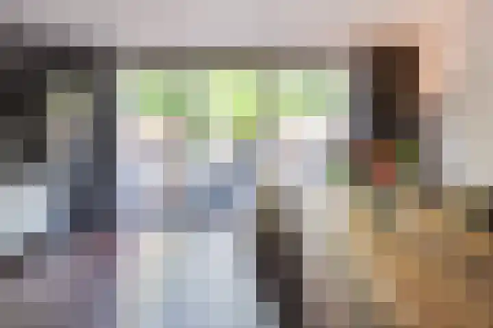 Duinkerkenlaan 49 Eindhoven thumbnail 26