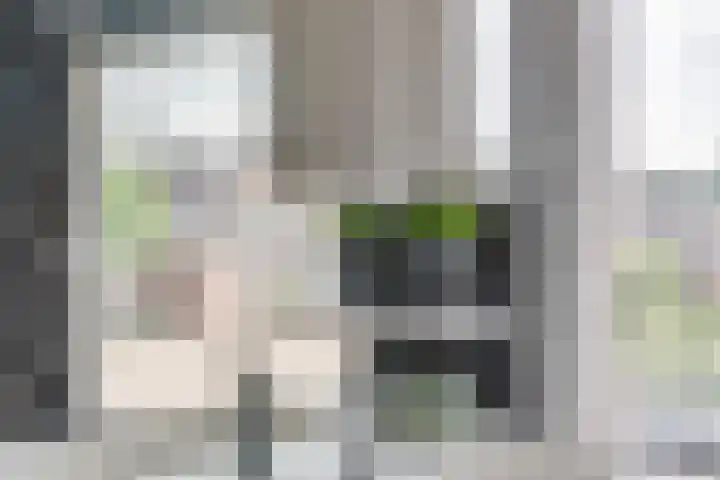 Duinkerkenlaan 49 Eindhoven thumbnail 31