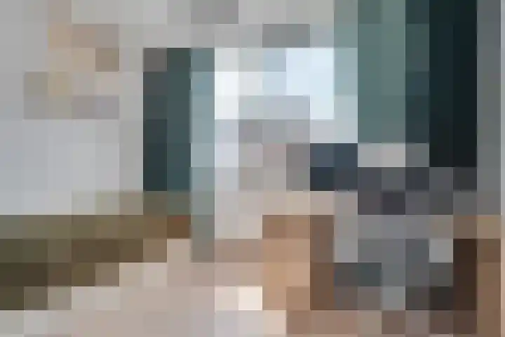 Duinkerkenlaan 49 Eindhoven thumbnail 32