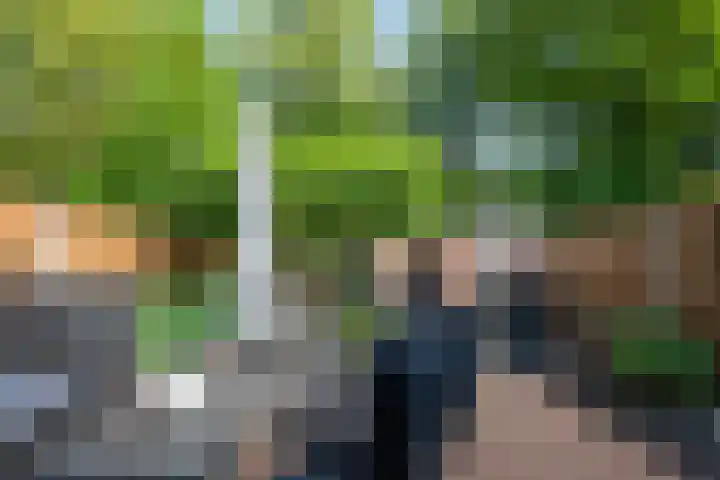 Duinkerkenlaan 49 Eindhoven thumbnail 40