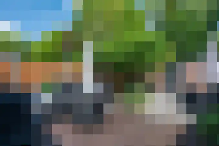 Duinkerkenlaan 49 Eindhoven thumbnail 41