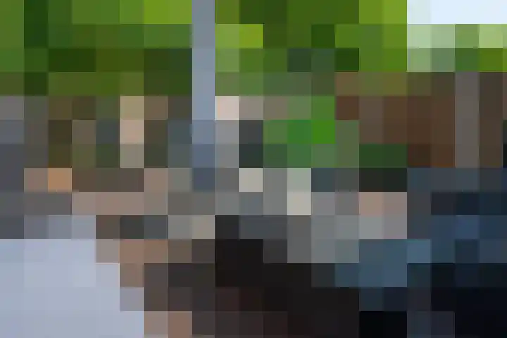 Duinkerkenlaan 49 Eindhoven thumbnail 42