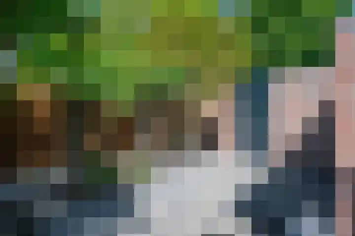 Duinkerkenlaan 49 Eindhoven thumbnail 44